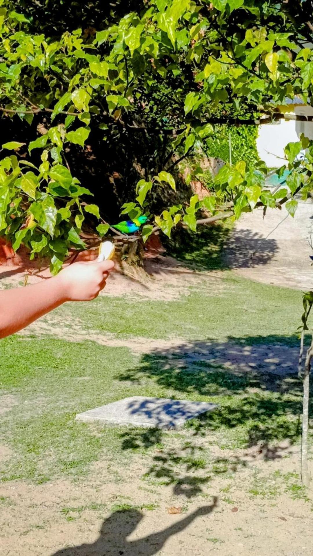 Pousada Casa Da Montanha Sana Εξωτερικό φωτογραφία